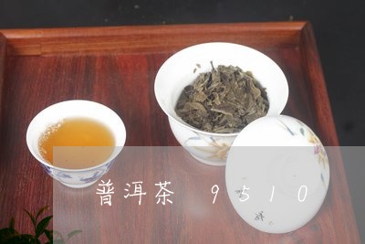 普洱茶 9510/2023041206269